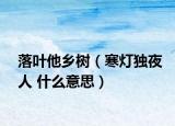 落叶他乡树（寒灯独夜人 什么意思）