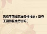 洛克王国梅花鹿最佳技能（洛克王国梅花鹿厉害吗）