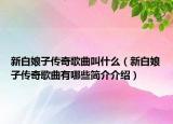 新白娘子传奇歌曲叫什么（新白娘子传奇歌曲有哪些简介介绍）