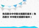 鲁迅散文中华散文插图珍藏本（鲁迅散文 中华散文插图珍藏本）