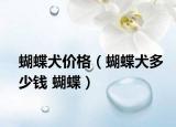 蝴蝶犬价格（蝴蝶犬多少钱 蝴蝶）