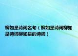 柳如是诗词名句（柳如是诗词柳如是诗词柳如是的诗词）