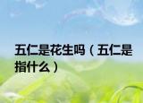 五仁是花生吗（五仁是指什么）
