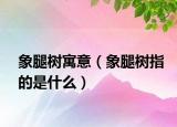 象腿树寓意（象腿树指的是什么）