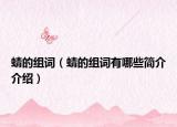 蜻的组词（蜻的组词有哪些简介介绍）