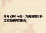 湖南 政府 采购（湖南省如何参加政府采购网投标）