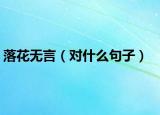 落花无言（对什么句子）