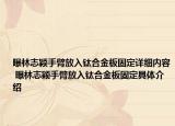 曝林志颖手臂放入钛合金板固定详细内容 曝林志颖手臂放入钛合金板固定具体介绍