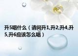 升5唱什么（请问升1,升2,升4,升5,升6应该怎么唱）
