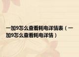 一加9怎么查看耗电详情表（一加9怎么查看耗电详情）