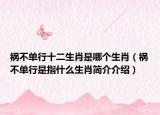 祸不单行十二生肖是哪个生肖（祸不单行是指什么生肖简介介绍）