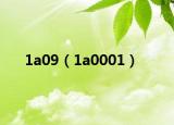 1a09（1a0001）