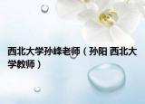 西北大学孙峰老师（孙阳 西北大学教师）