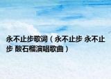 永不止步歌词（永不止步 永不止步 酸石榴演唱歌曲）