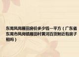 东莞凤岗雁田房价多少钱一平方（广东省东莞市凤岗镇雁田村黄河百货附近有房子租吗）