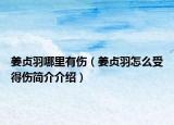 姜贞羽哪里有伤（姜贞羽怎么受得伤简介介绍）