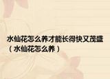 水仙花怎么养才能长得快又茂盛（水仙花怎么养）