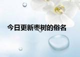 今日更新枣树的俗名