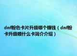dnf粉色卡片升级哪个赚钱（dnf粉卡升级喂什么卡简介介绍）