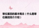 等位基因的基本概念（什么是等位基因简介介绍）