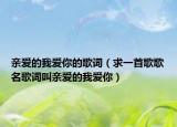 亲爱的我爱你的歌词（求一首歌歌名歌词叫亲爱的我爱你）