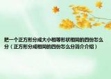 把一个正方形分成大小相等形状相同的四份怎么分（正方形分成相同的四份怎么分简介介绍）