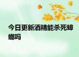 今日更新酒精能杀死蟑螂吗