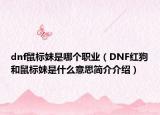 dnf鼠标妹是哪个职业（DNF红狗和鼠标妹是什么意思简介介绍）