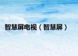 智慧屏电视（智慧屏）