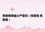 肾衰竭肾缩小严重吗（肾衰竭 肾衰竭）