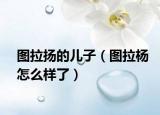 图拉扬的儿子（图拉杨怎么样了）