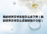 我的世界贝爷生存怎么去下界（我的世界贝爷怎么去地狱简介介绍）