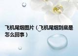 飞机尾烟图片（飞机尾烟到底是怎么回事）