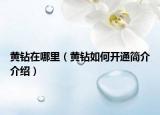 黄钻在哪里（黄钻如何开通简介介绍）