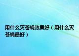 用什么灭苍蝇效果好（用什么灭苍蝇最好）