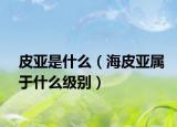 皮亚是什么（海皮亚属于什么级别）