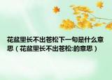 花盆里长不出苍松下一句是什么意思（花盆里长不出苍松:的意思）