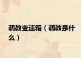 调教变速箱（调教是什么）
