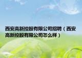 西安高新控股有限公司招聘（西安高新控股有限公司怎么样）