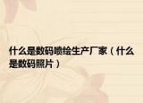 什么是数码喷绘生产厂家（什么是数码照片）