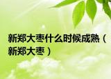 新郑大枣什么时候成熟（新郑大枣）