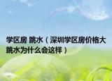 学区房 跳水（深圳学区房价格大跳水为什么会这样）