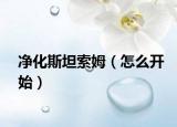 净化斯坦索姆（怎么开始）