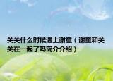 关关什么时候遇上谢童（谢童和关关在一起了吗简介介绍）