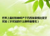 世界上最好的咖啡产于巴西埃塞俄比亚牙买加（牙买加的什么咖啡最著名）