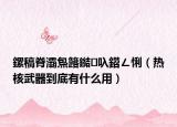 鏍稿脊灞炰簬鐑叺鍣ㄥ悧（热核武器到底有什么用）