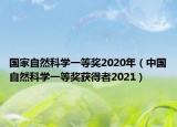 国家自然科学一等奖2020年（中国自然科学一等奖获得者2021）
