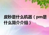 皮秒是什么机器（pm是什么简介介绍）