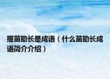 揠苗助长是成语（什么苗助长成语简介介绍）