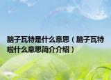 脑子瓦特是什么意思（脑子瓦特啦什么意思简介介绍）